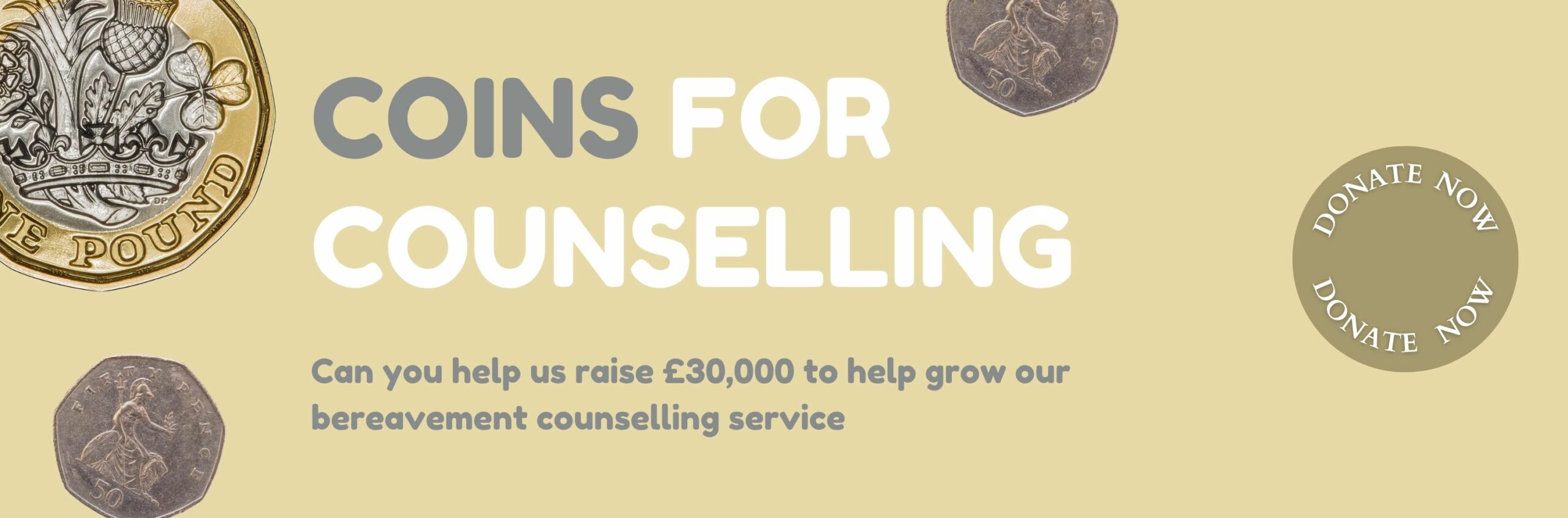 Coins for counselling web slider