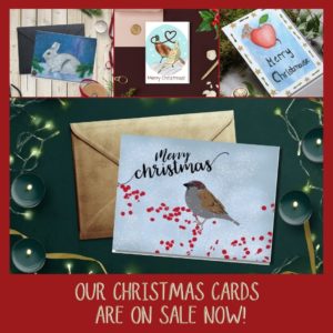 Our Christmas cards are on sale now