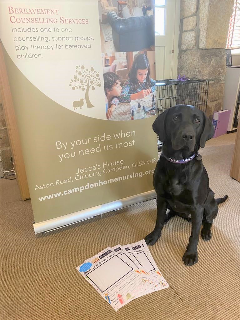 Black lab promoting children's colouring competition